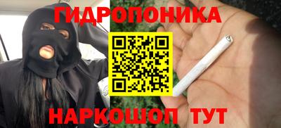 стафф Ставрополь