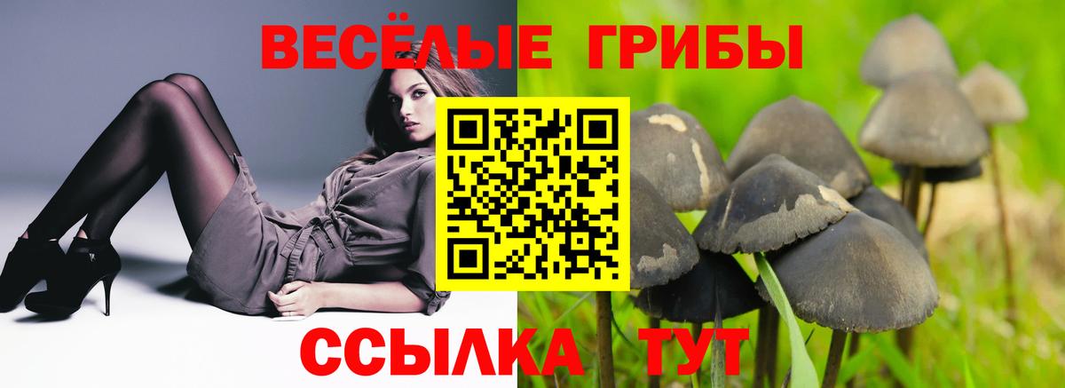 Псилоцибиновые грибы ЛСД  Галлюциногенные грибы прущие грибы  Вход с VPN  Надым 